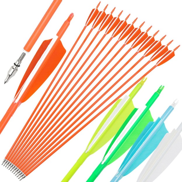 12pcs Archery Carbon Arrows 30" SP500 SP600 Feathers  Hunting Target