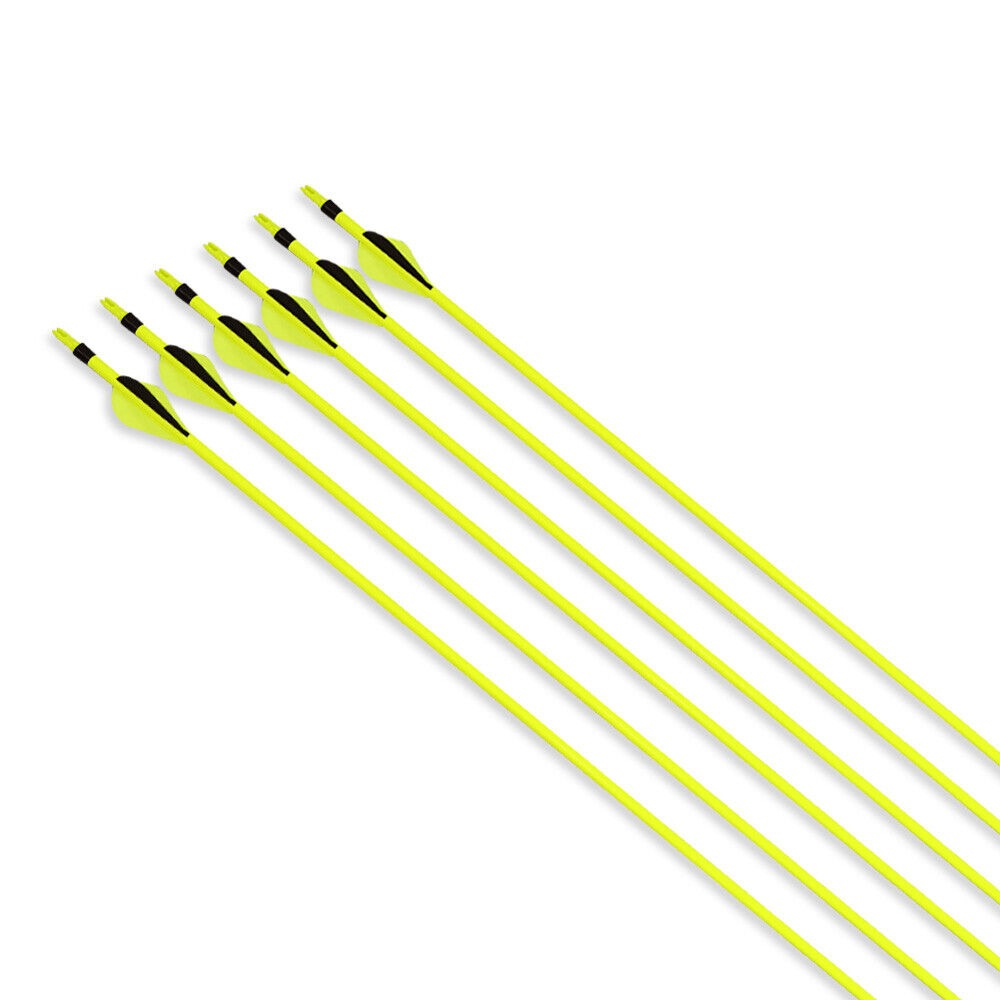 Carbon Archery Arrows 500 Spine 100gr Removable Tips  2" Rubber Vanes