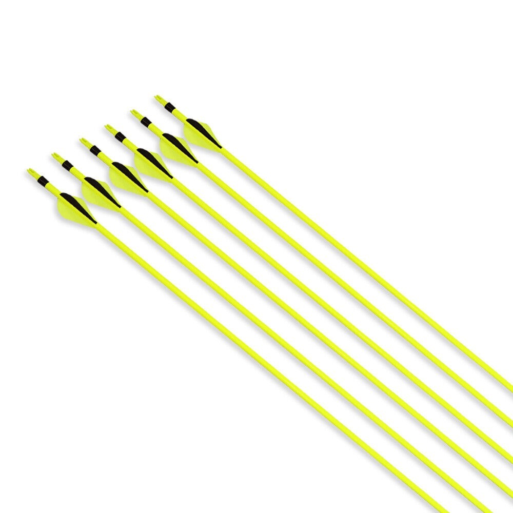 Carbon Archery Arrows 500 Spine 100gr Removable Tips  2" Rubber Vanes