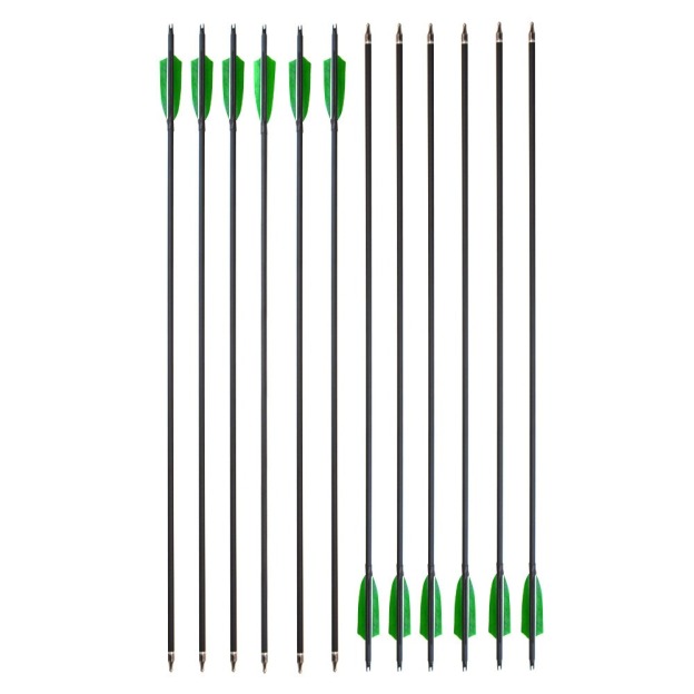 500 Spine Carbon Arrows 33" Turkey Feather 100gr Tips 12pcs