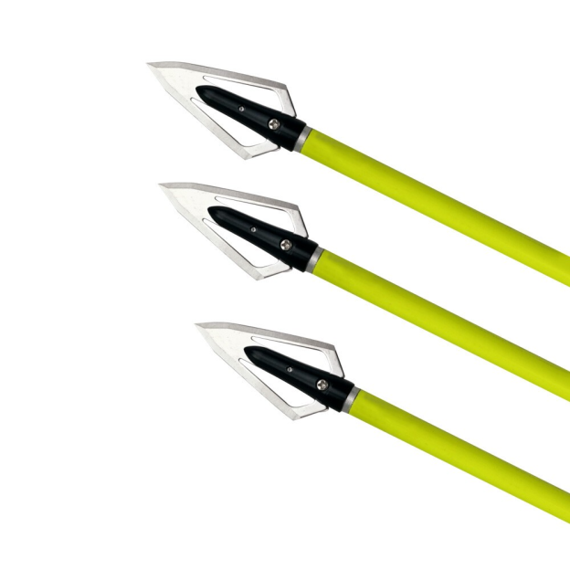 100 Grain Broadheads with Case Hunting & Target Screw-In