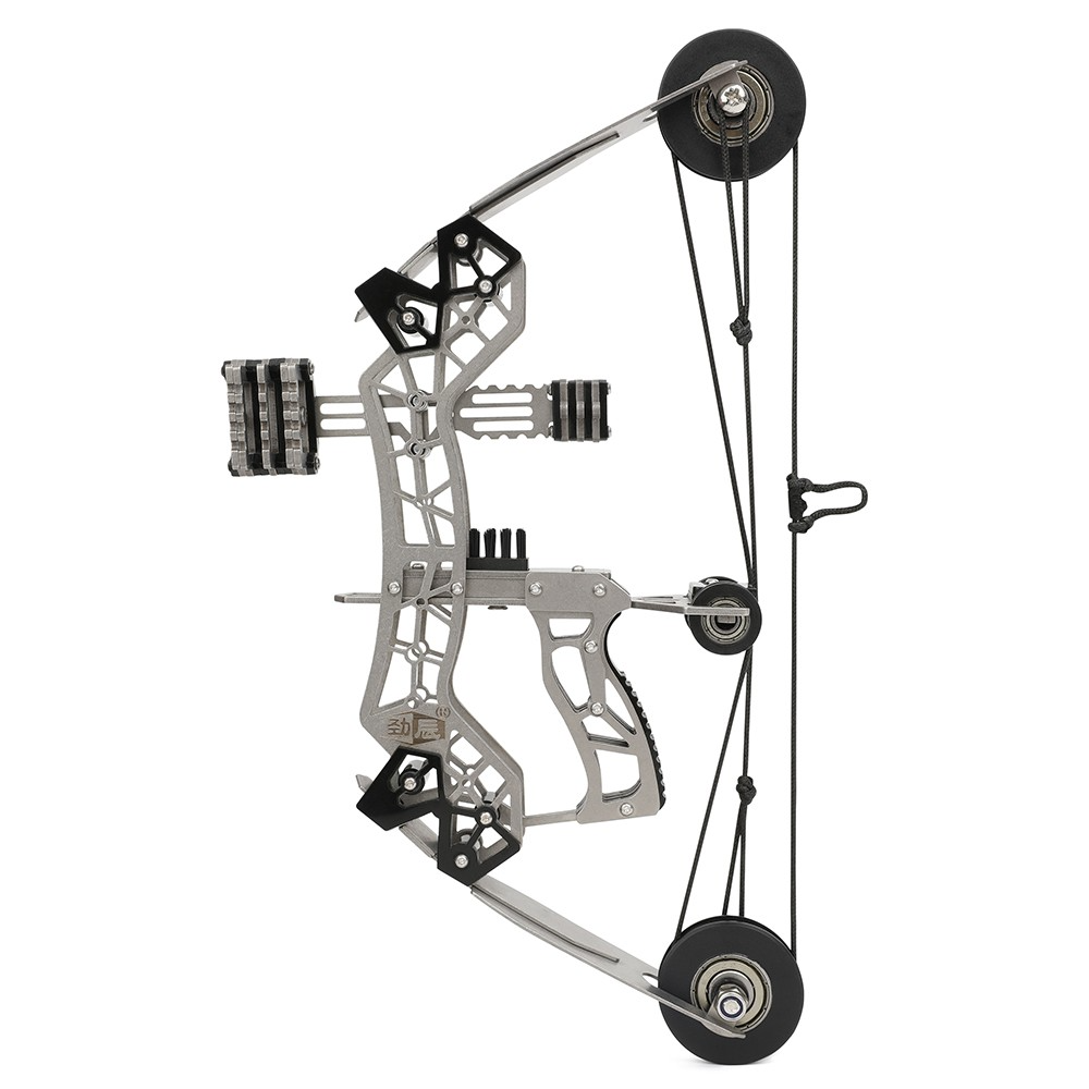 Mini Compound Bow Set 12lb Training & Recreational