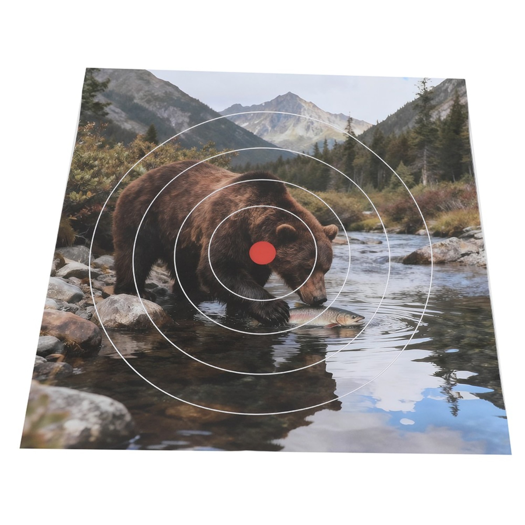 Paper Target Faces 40cm Archery Target Practice Animal Field Face