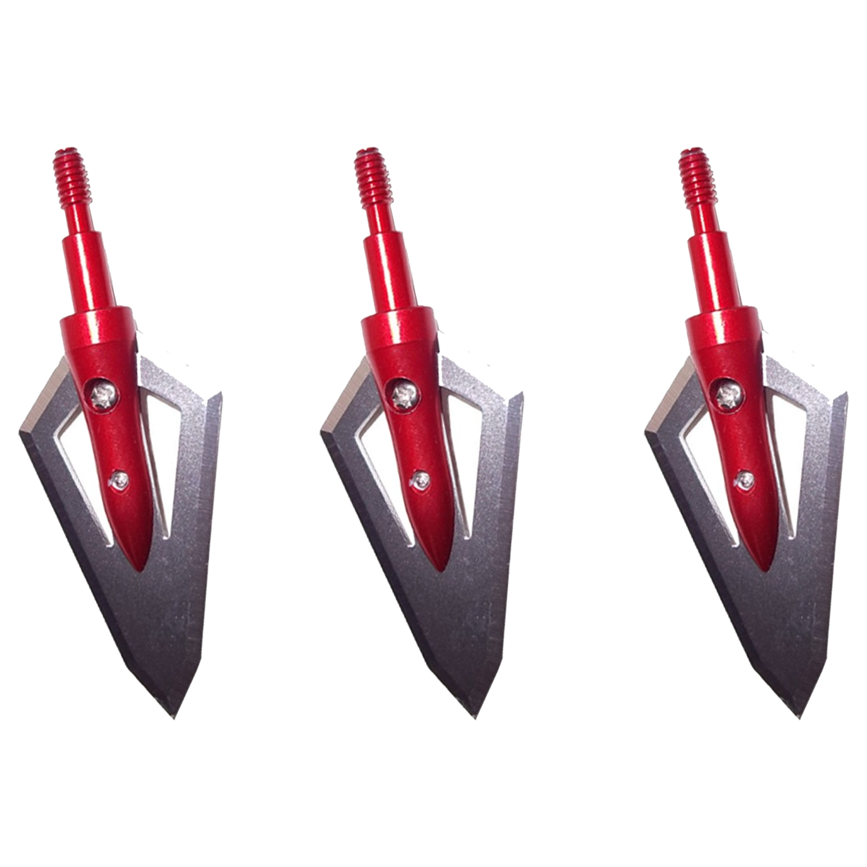 100 Grain Broadheads with Case Hunting & Target Screw-In