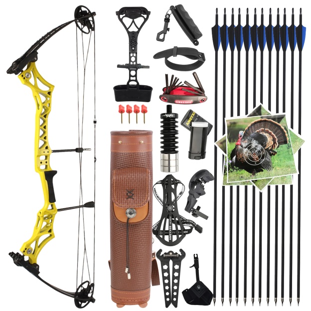 40" Compound Bow Set 30-55lbs Adjustable 12 Arrows 10 Targets 