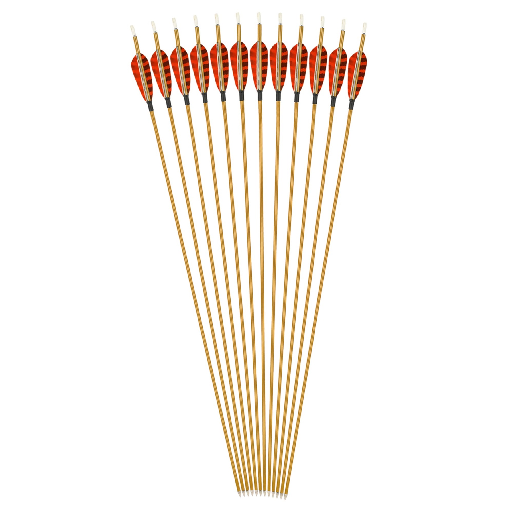 Mixed Carbon Arrows 32" 900 Spine Turkey Feather Target & Practice