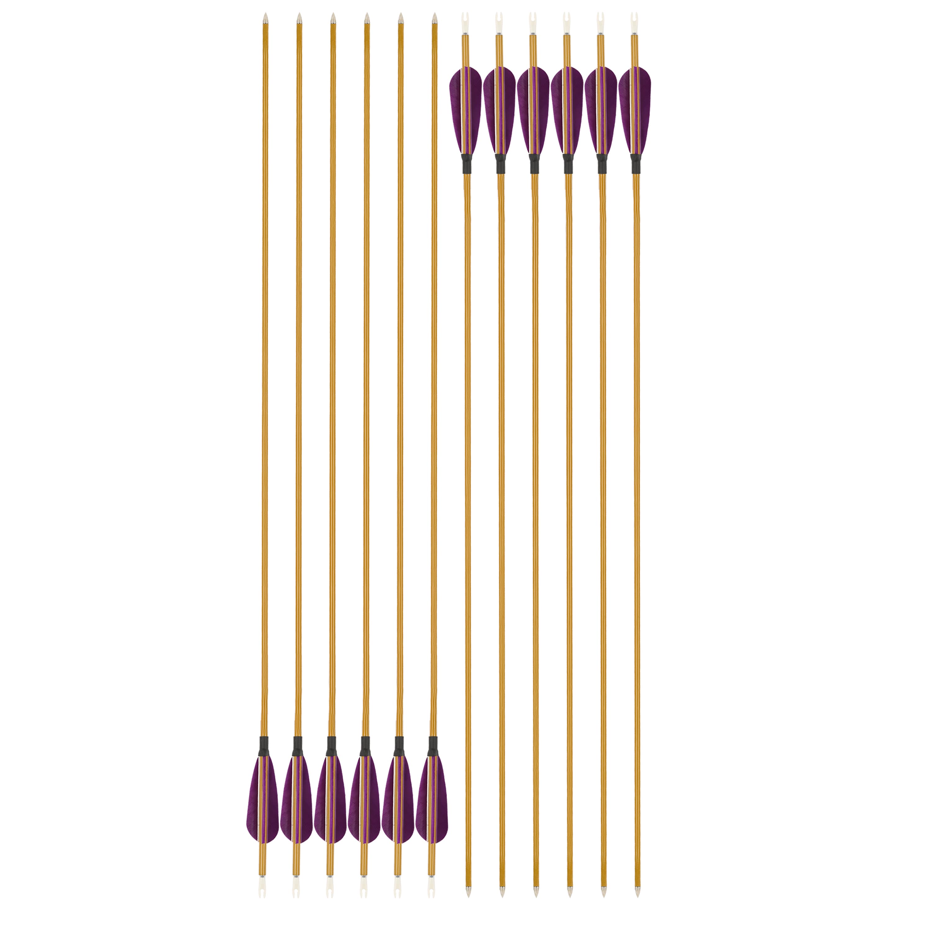 Mixed Carbon Arrows 32" 900 Spine Turkey Feather Target & Practice