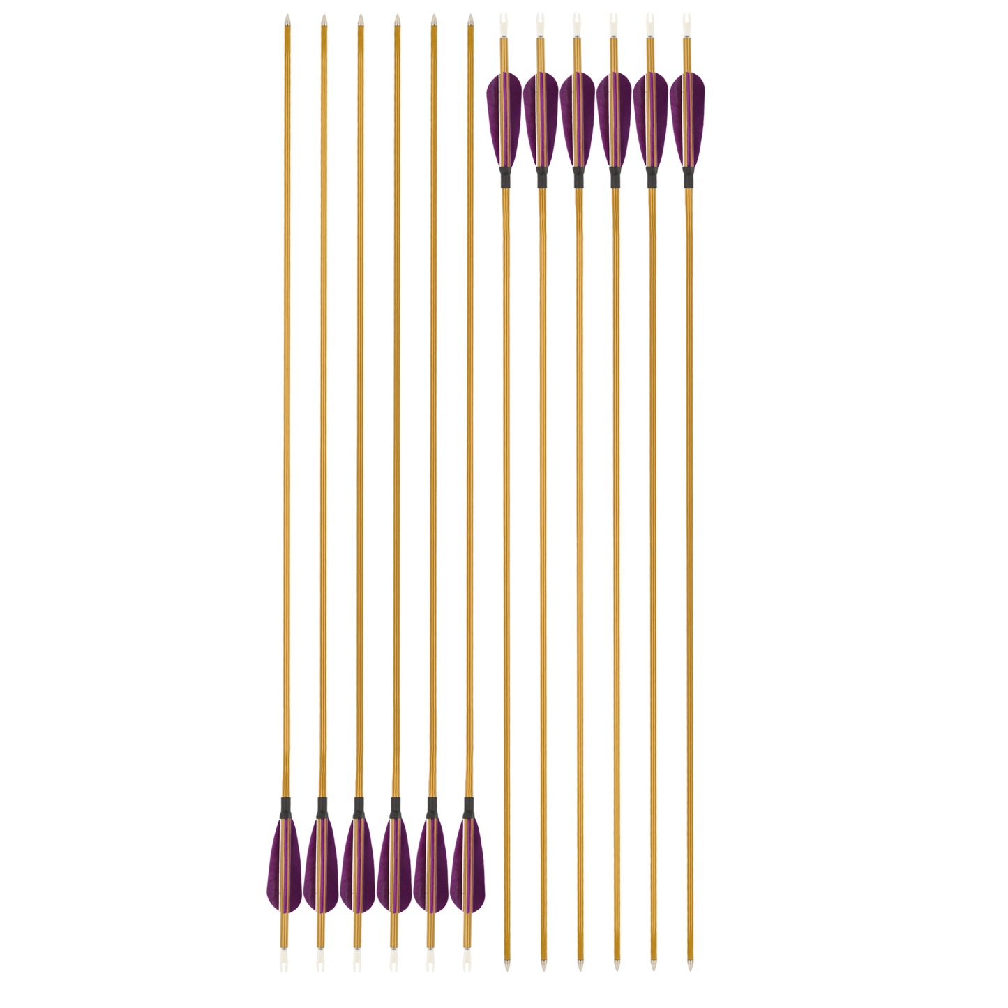 Mixed Carbon Arrows 32" 900 Spine Turkey Feather Target & Practice