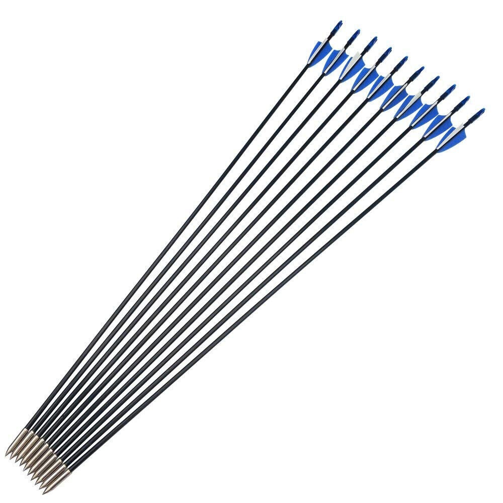 31" Fiberglass Arrows Target Practice Recurve Bow Hunting Shooting