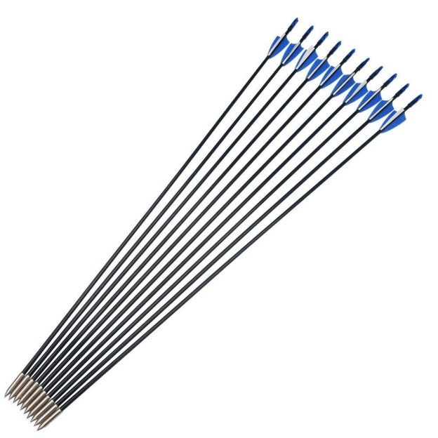 31" Fiberglass Arrows Target Practice Recurve Bow Hunting Shooting