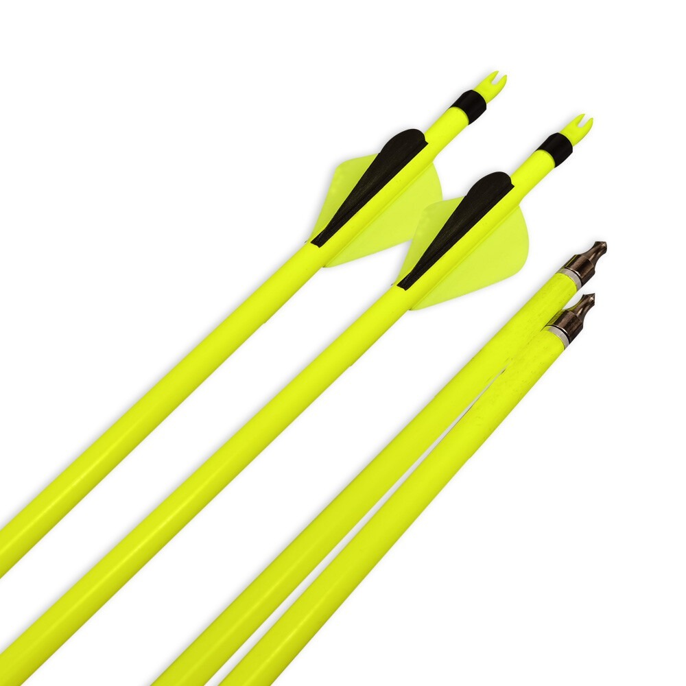 Carbon Archery Arrows 500 Spine 100gr Removable Tips  2" Rubber Vanes