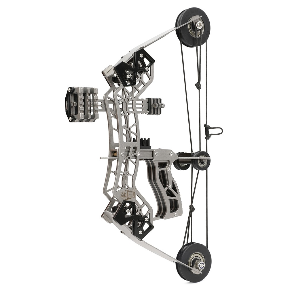 Mini Compound Bow Set 12lb Training & Recreational
