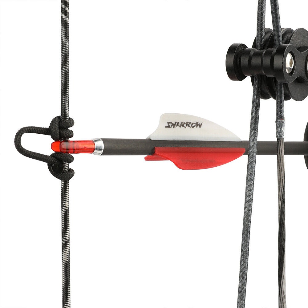 Pure Carbon Arrows 32 inch SP300-1000 Vanes .003" Recurve Compound Bow