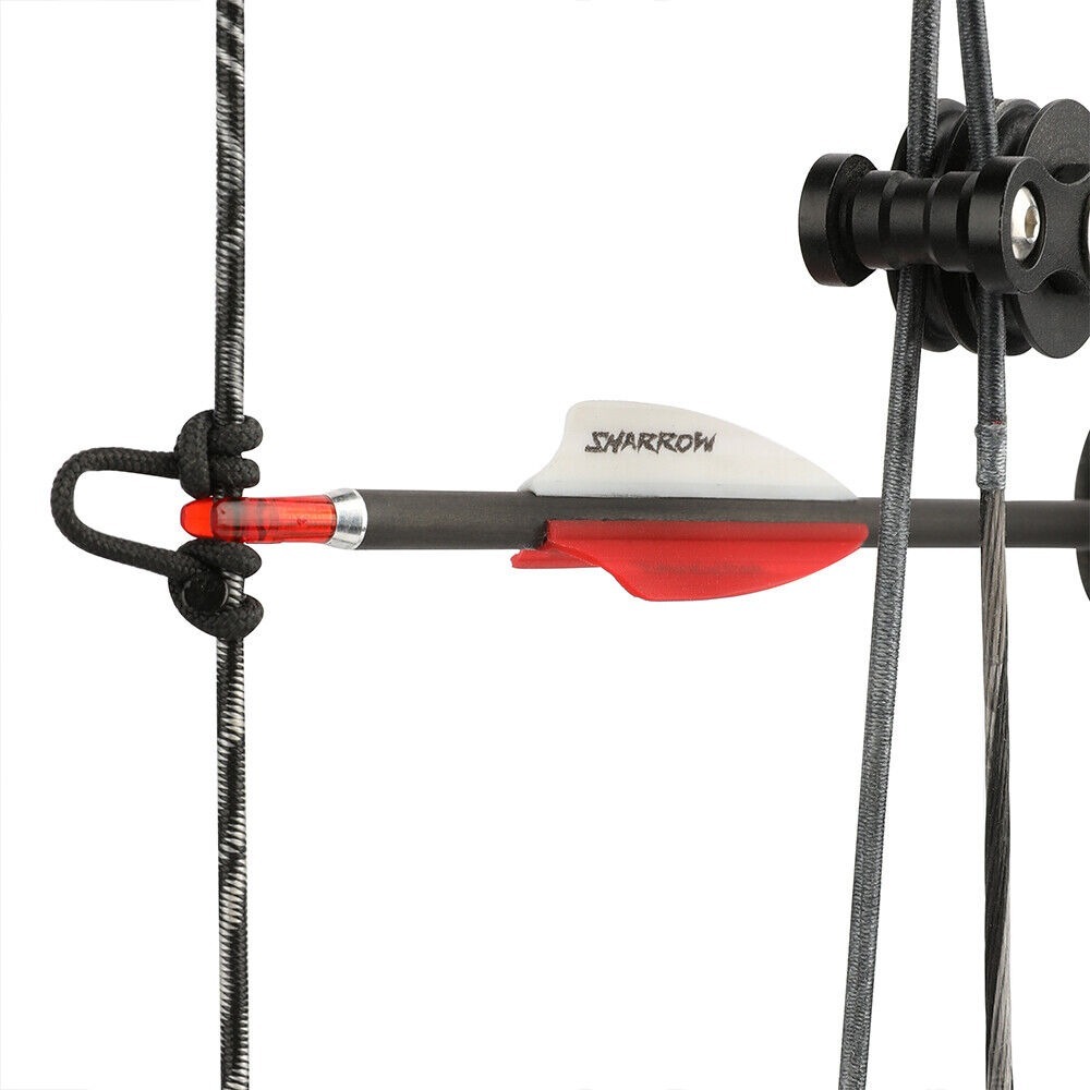 Pure Carbon Arrows 32 inch SP300-1000 Vanes .003" Recurve Compound Bow