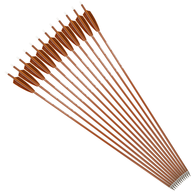 Traditional Feather Fletched Arrow Carbon SP500 600 30" Hunting Target