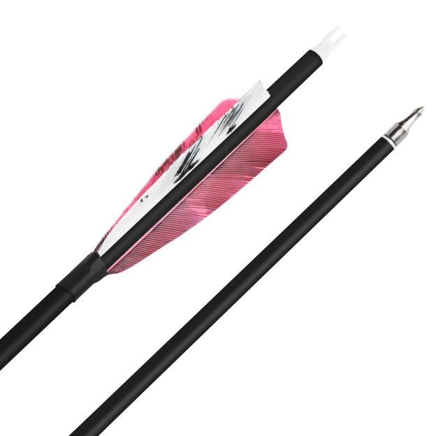 Hunting Practice Arrow Natural Feather Carbon Spine 500