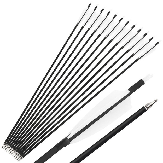 Carbon Arrows Turkey Feather Spine 500 Archery Hunting Practice