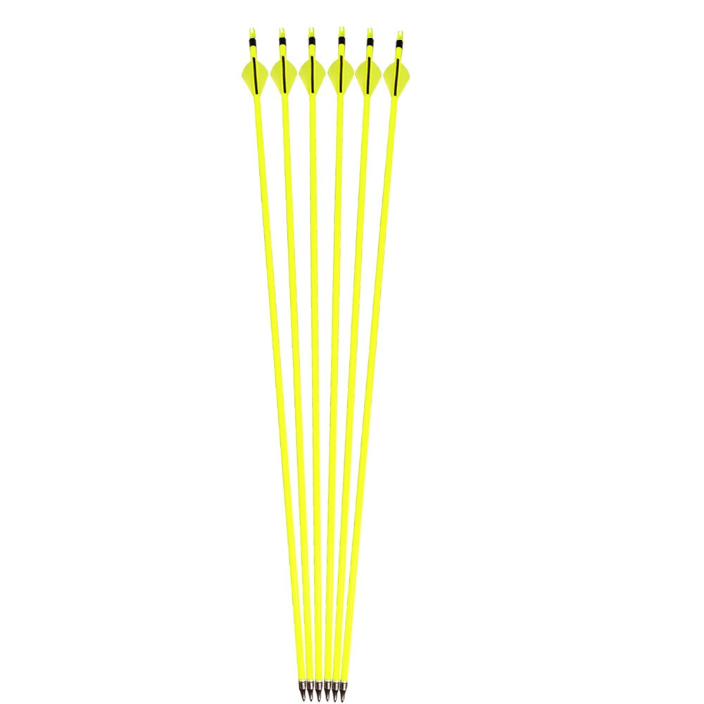 Carbon Archery Arrows 500 Spine 100gr Removable Tips  2" Rubber Vanes