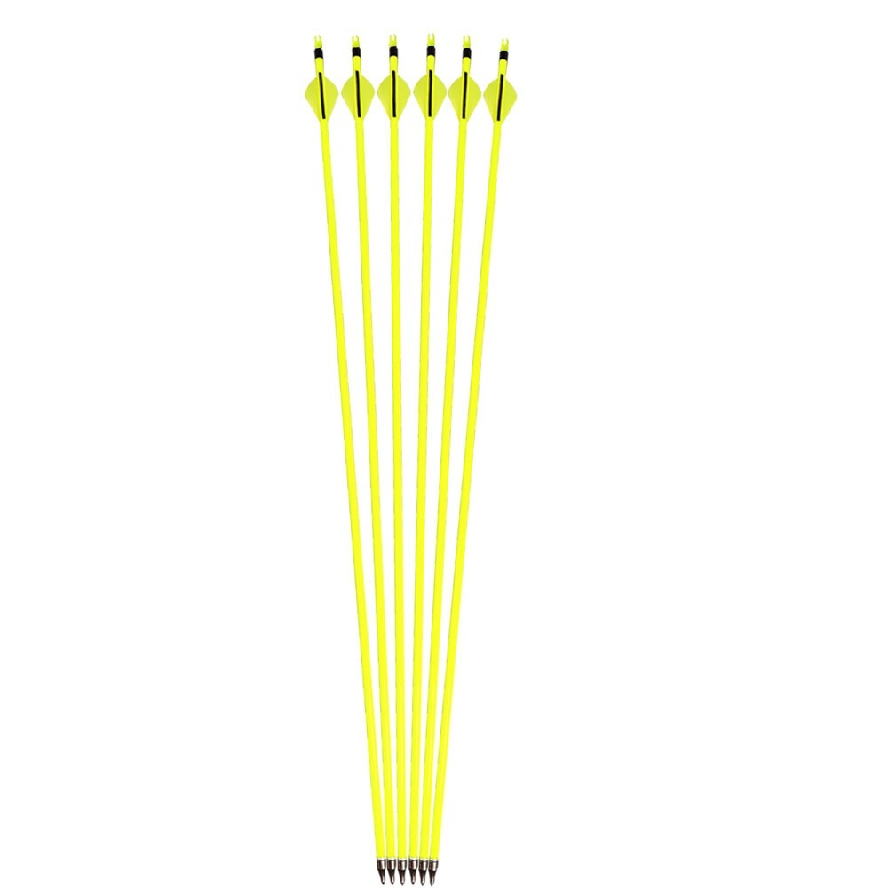 Carbon Archery Arrows 500 Spine 100gr Removable Tips  2" Rubber Vanes