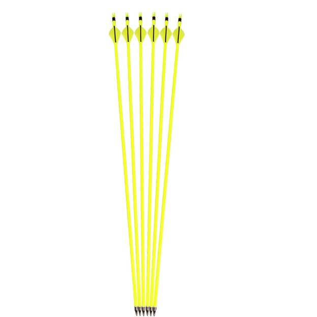 Carbon Archery Arrows 500 Spine 100gr Removable Tips  2" Rubber Vanes