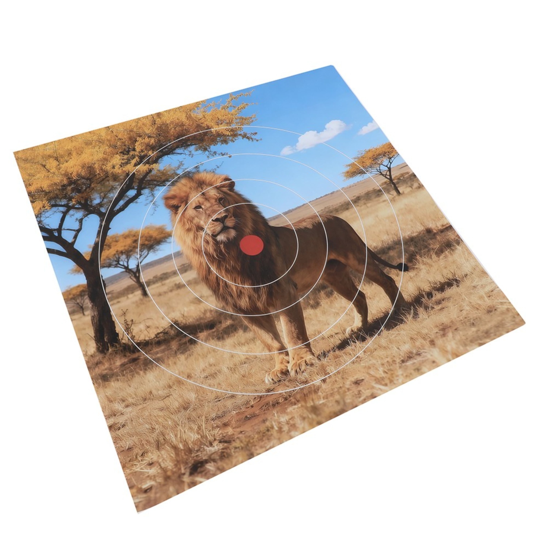 Paper Target Faces 40cm Archery Target Practice Animal Field Face