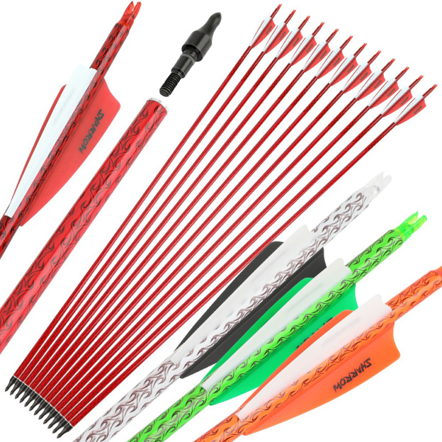 30" Carbon Arrows SP500 Rubber Vanes 100Grain Tips Archery Hunting