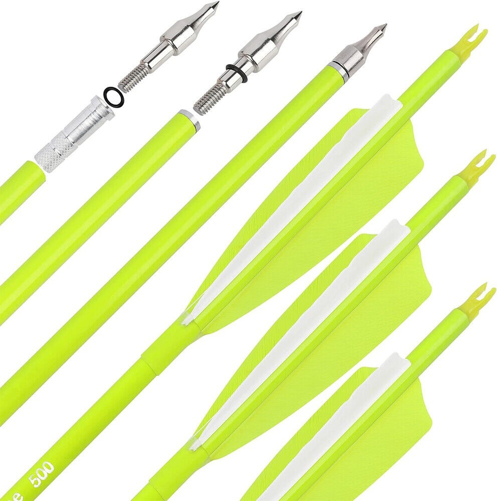 12pcs Archery Carbon Arrows 30" SP500 SP600 Feathers  Hunting Target