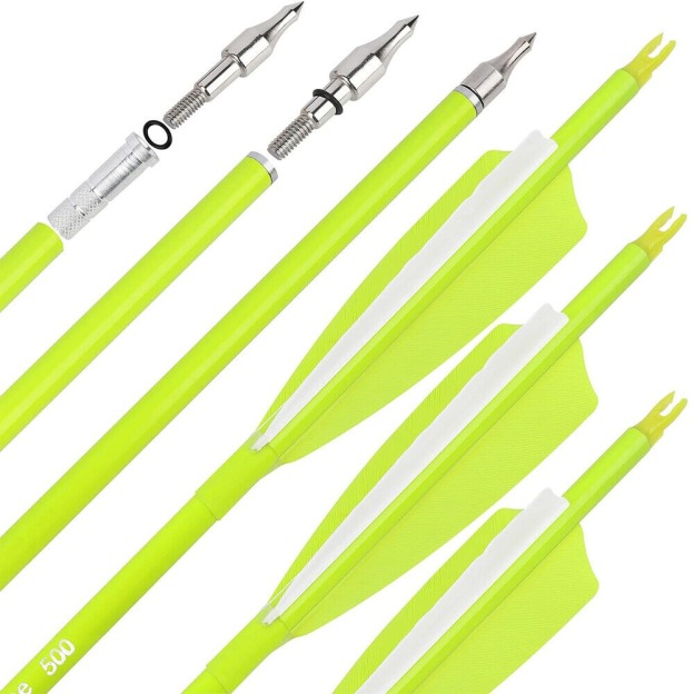 12pcs Archery Carbon Arrows 30" SP500 SP600 Feathers  Hunting Target
