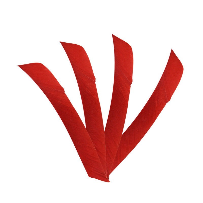 Turkey Fletches Full Length Arrow Feathers Archery DIY Left Wings