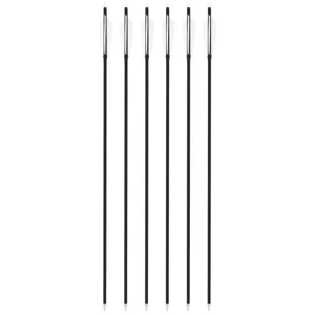 Carbon Arrows Turkey Feather Spine 500 Archery Hunting Practice
