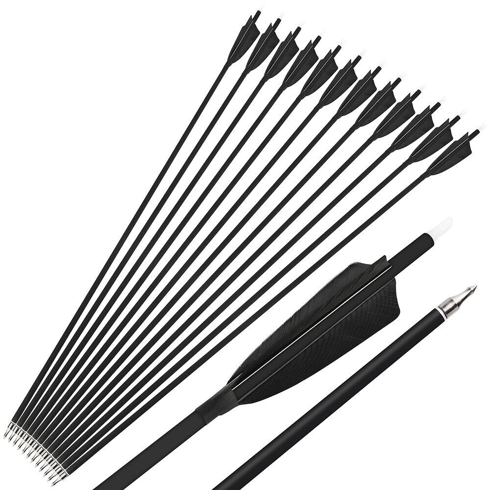 Carbon Arrows Turkey Feather Spine 500 Archery Hunting Practice