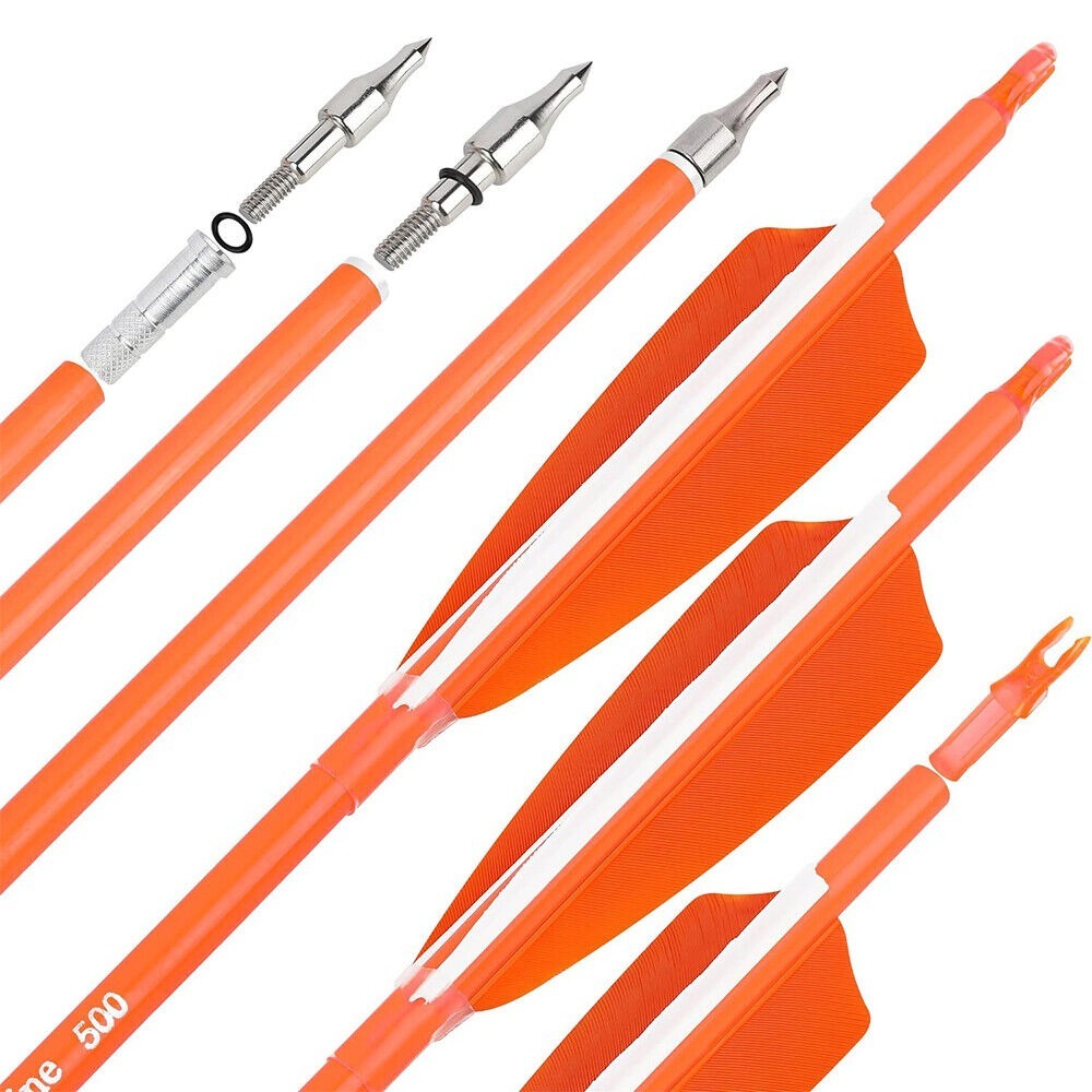 12pcs Archery Carbon Arrows 30" SP500 SP600 Feathers  Hunting Target