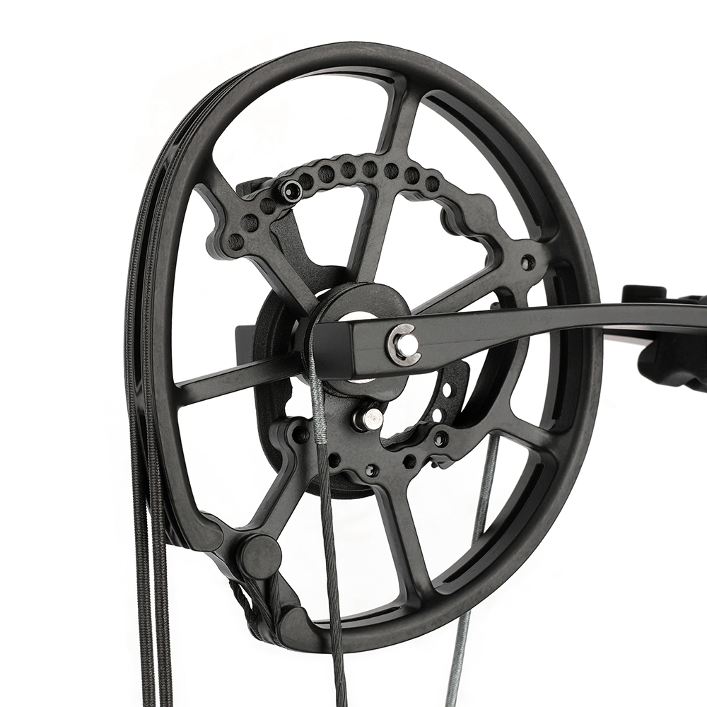 20-70lbs Compound Bow set Archery Shooting Balls