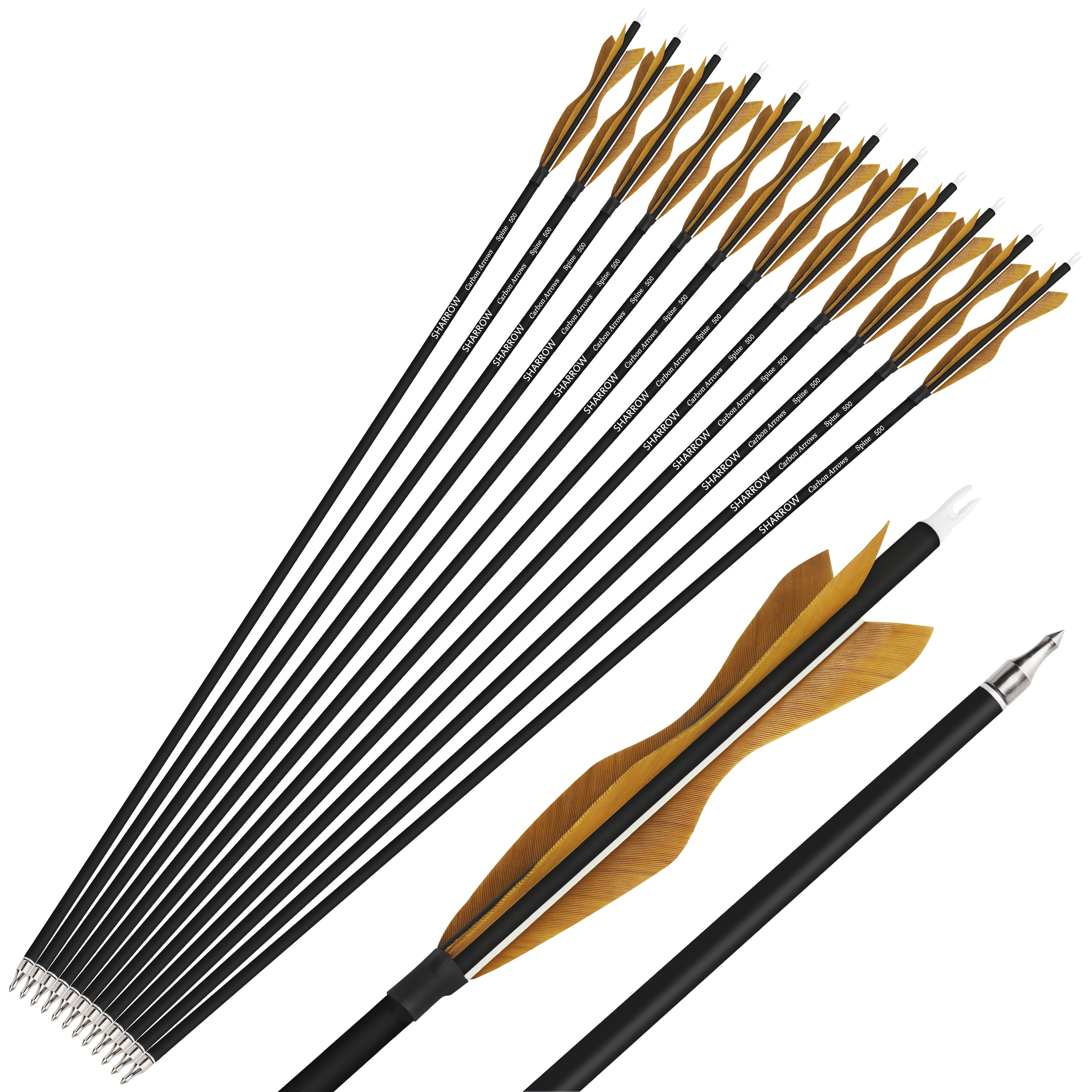 Carbon Archery Arrows Hunting & Target Natural Feather Fletching