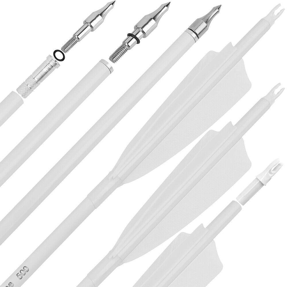 12pcs Archery Carbon Arrows 30" SP500 SP600 Feathers  Hunting Target