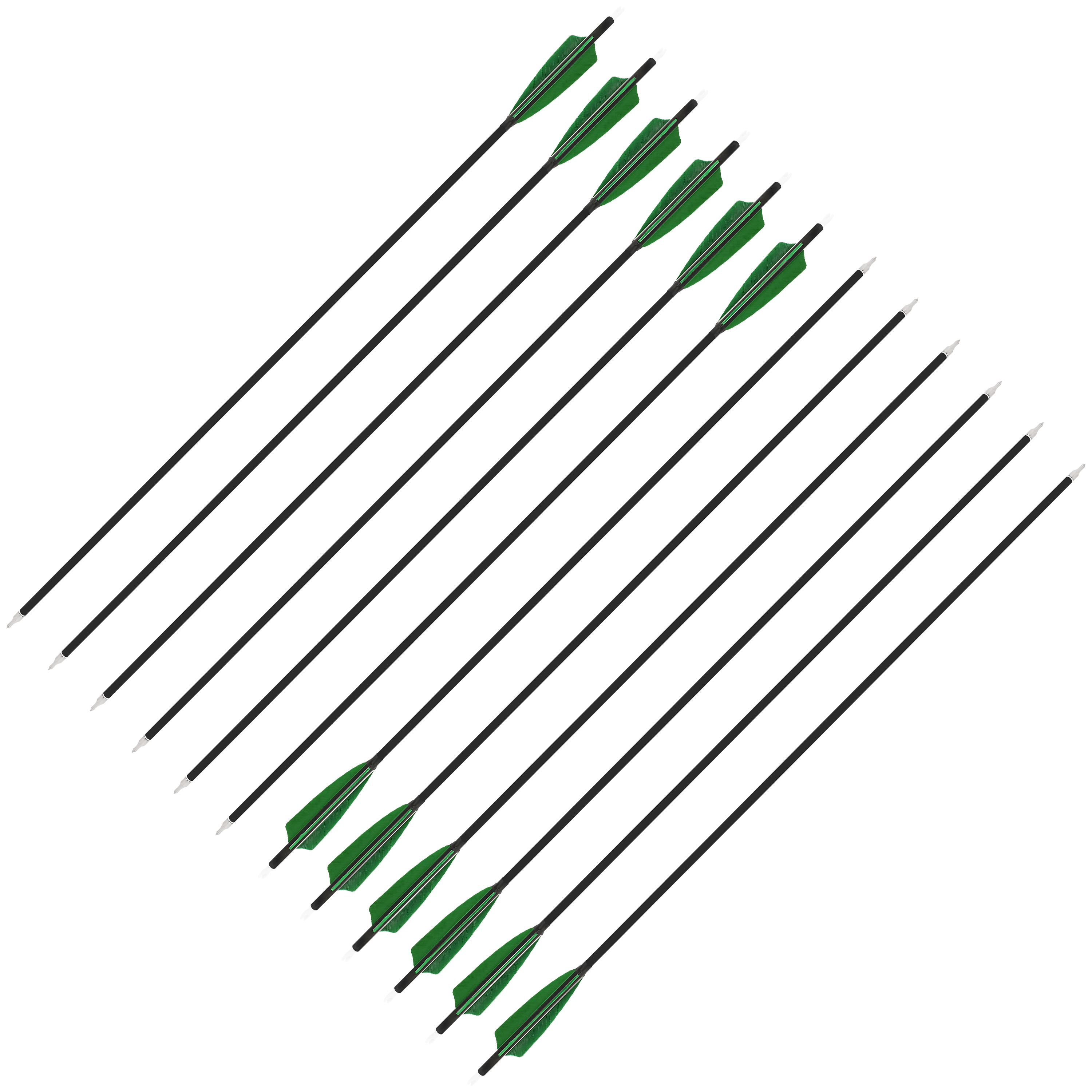 Carbon Arrows Turkey Feather Spine 500 Archery Hunting Practice