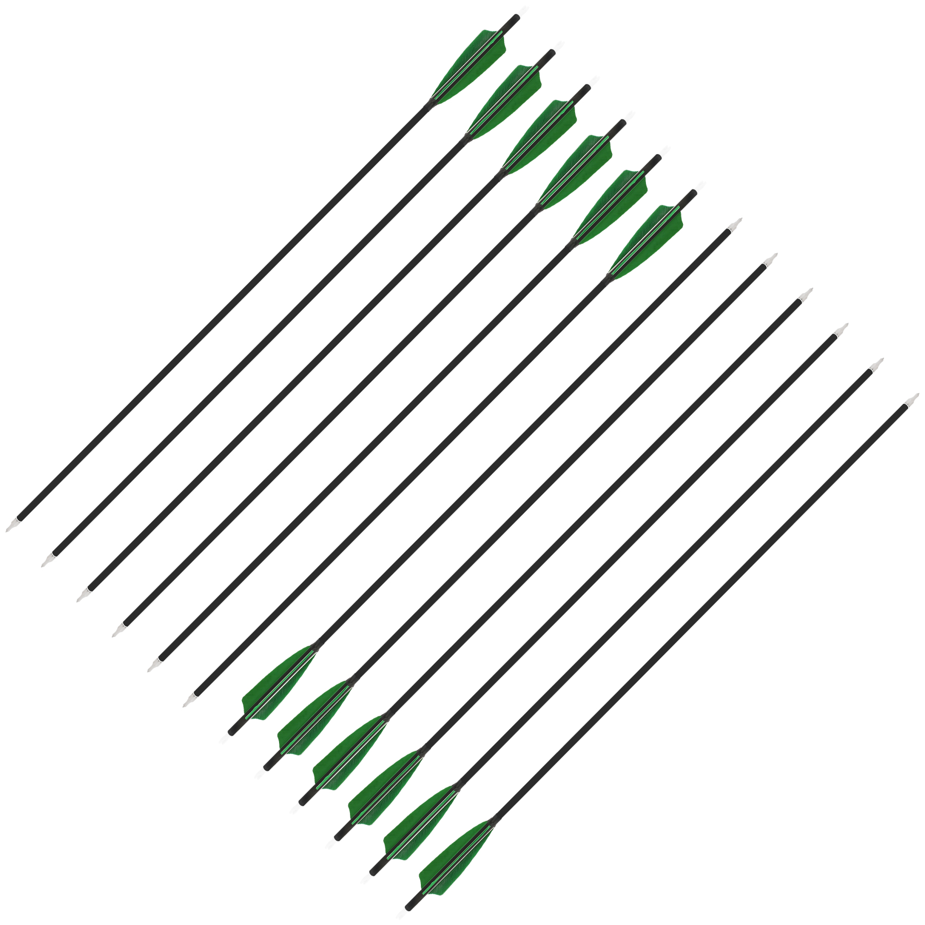 Carbon Arrows Turkey Feather Spine 500 Archery Hunting Practice