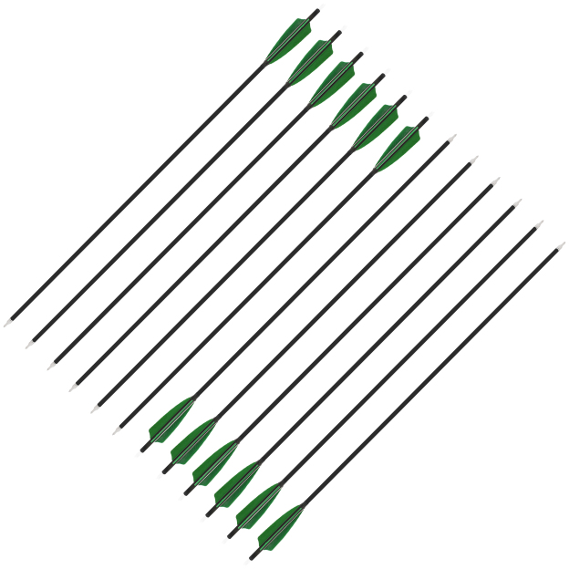 Carbon Arrows Turkey Feather Spine 500 Archery Hunting Practice