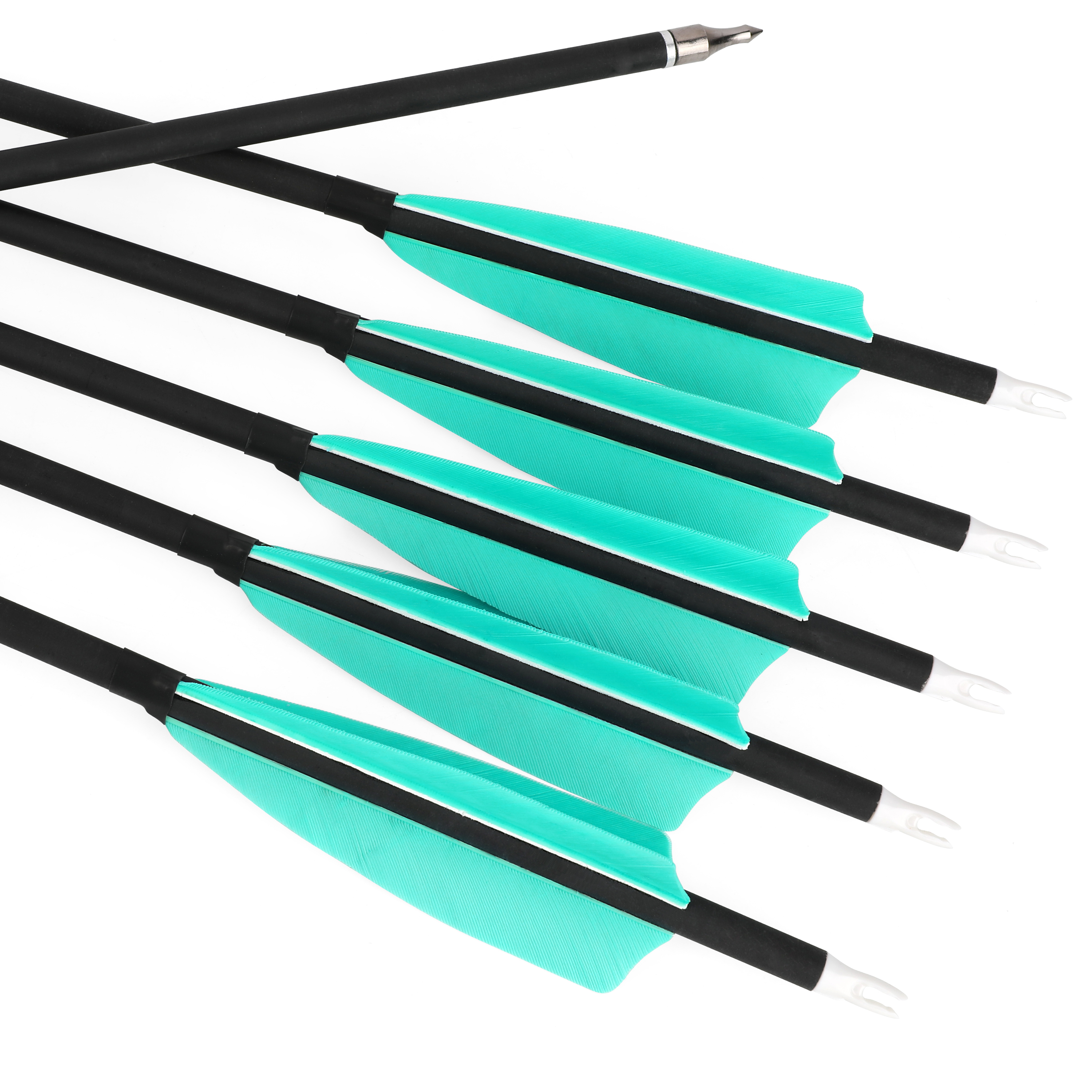 Carbon Arrows Turkey Feather Spine 500 Archery Hunting Practice