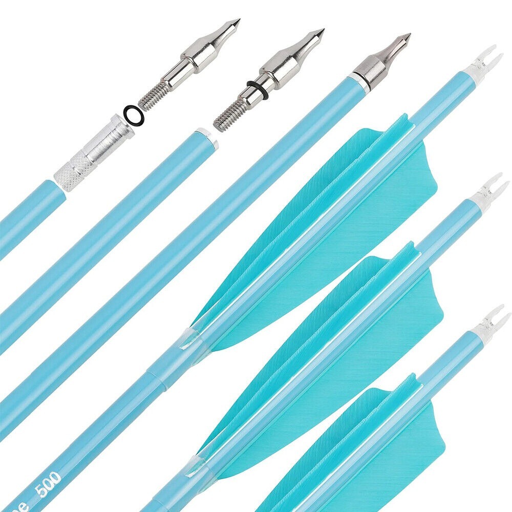 12pcs Archery Carbon Arrows 30" SP500 SP600 Feathers  Hunting Target