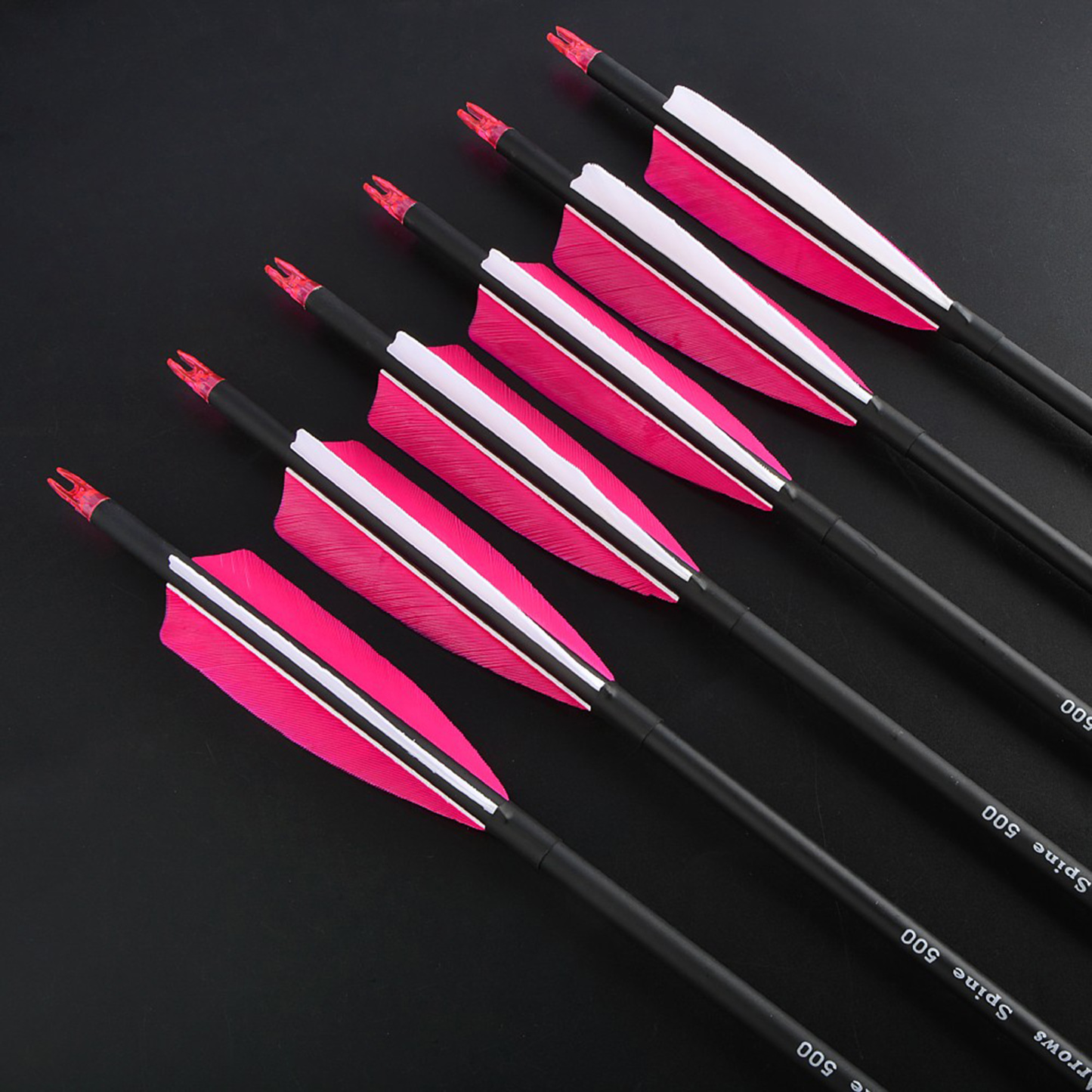 Archery Carbon Arrows Natural Feather Spine 500 Hunting Practice
