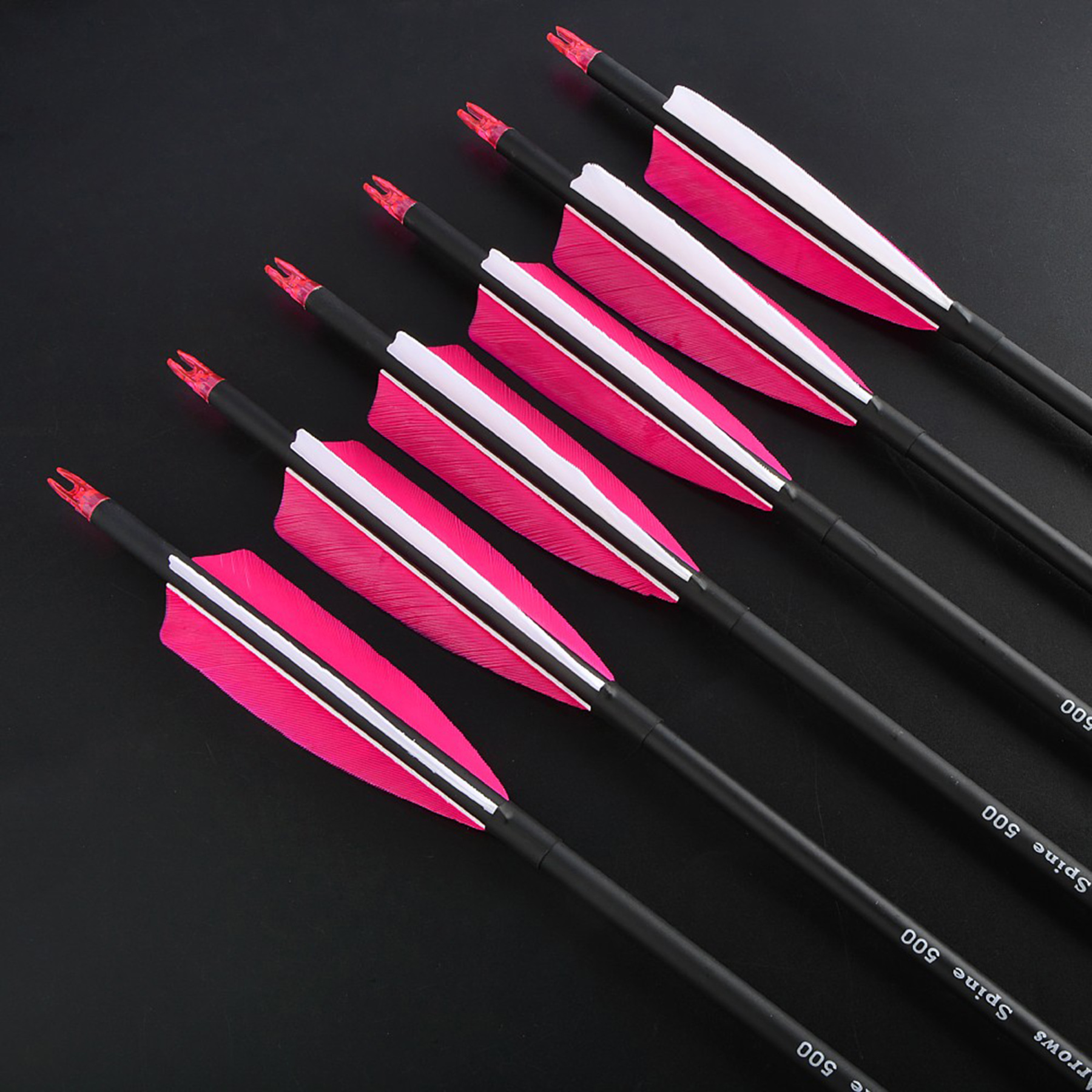 Archery Carbon Arrows Natural Feather Spine 500 Hunting Practice