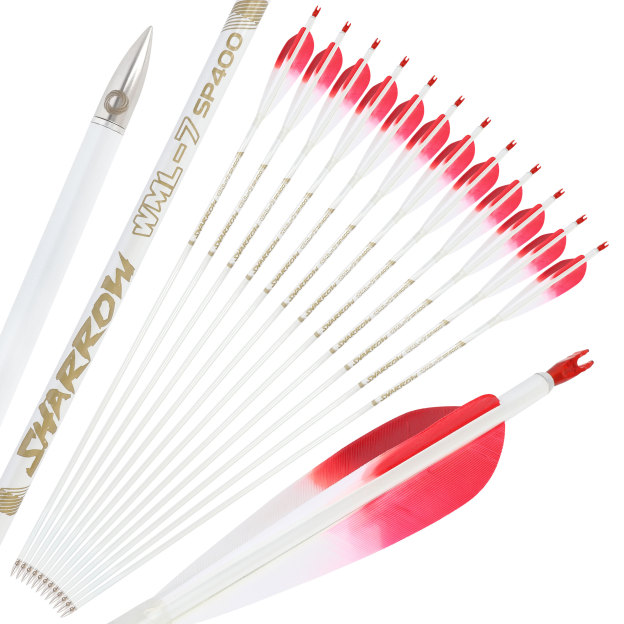  Pure Carbon Hunting Arrows Fletched Feather Spine 400-800