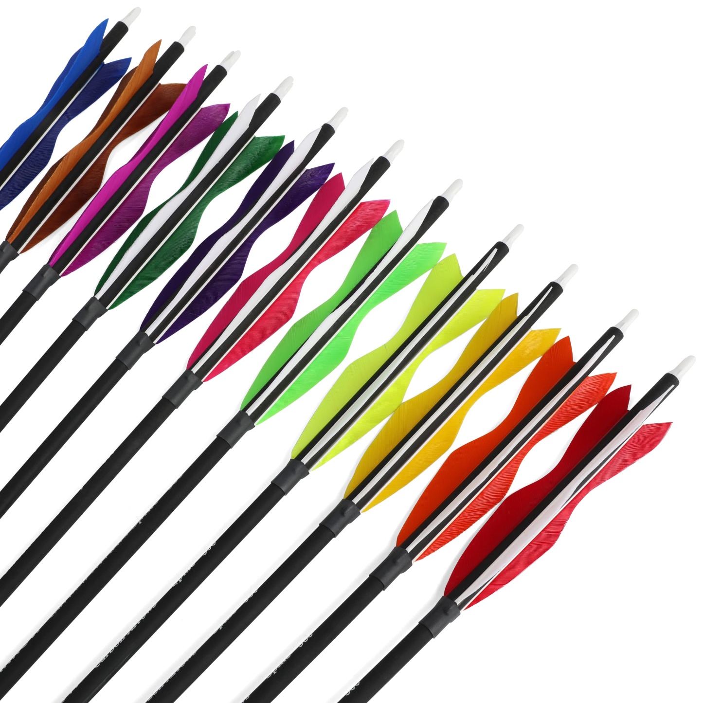 Carbon Archery Arrows Hunting & Target Natural Feather Fletching