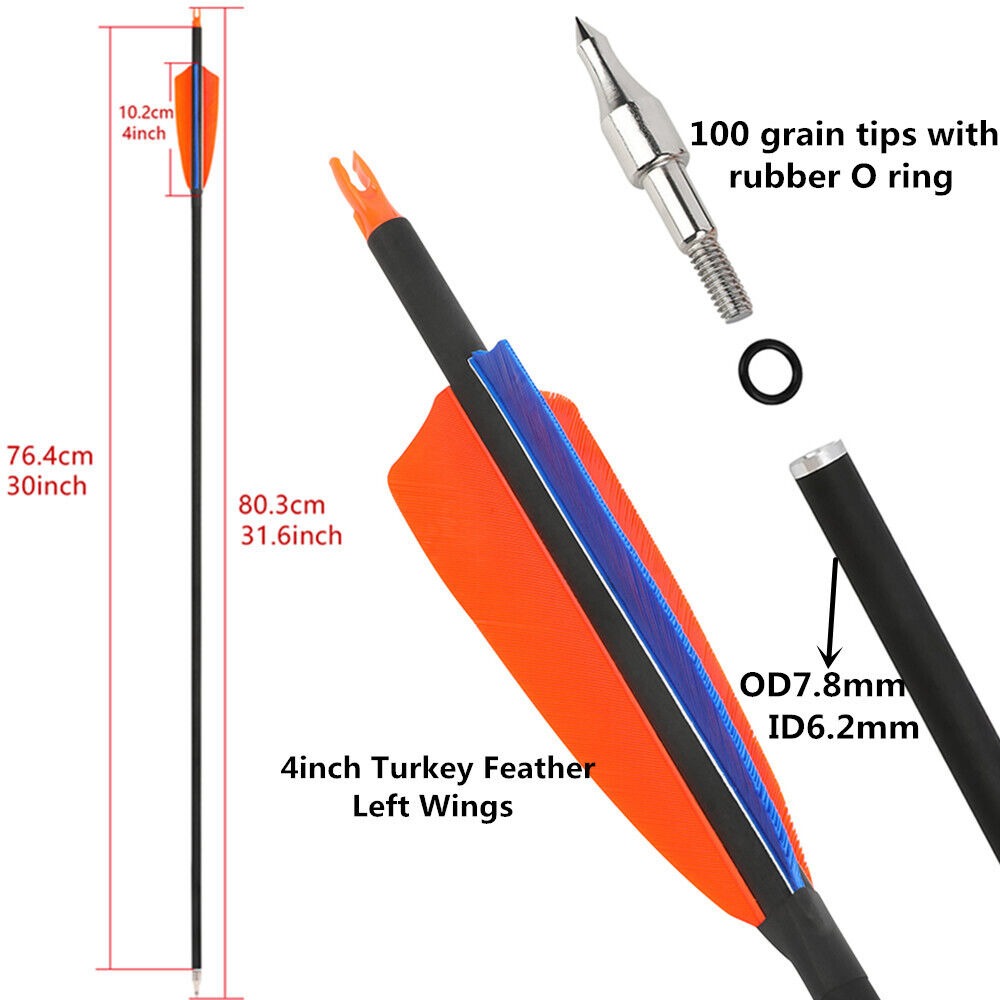 30" Carbon Arrow 4" Feather SP500 Archery Recurve Compound Bow Hunting