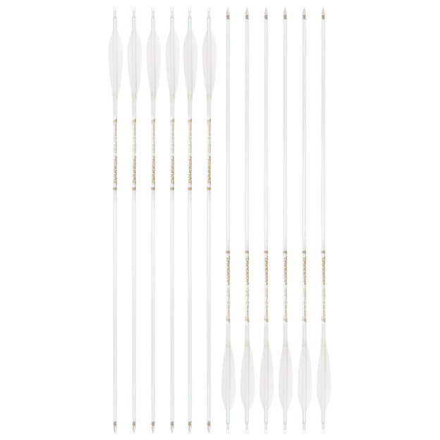 Hunting Fletched Arrows Pure Carbon Feather Spine 400-800