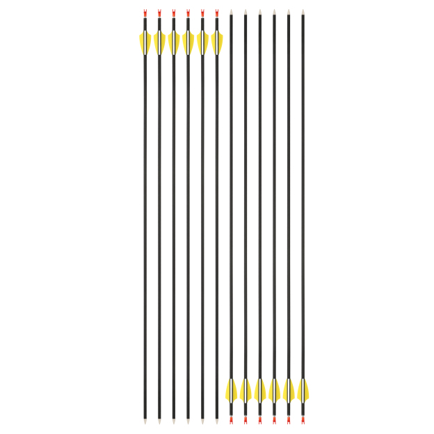 Carbon Arrows for Compound Recurve Bows Hunting Target Practice SP1000