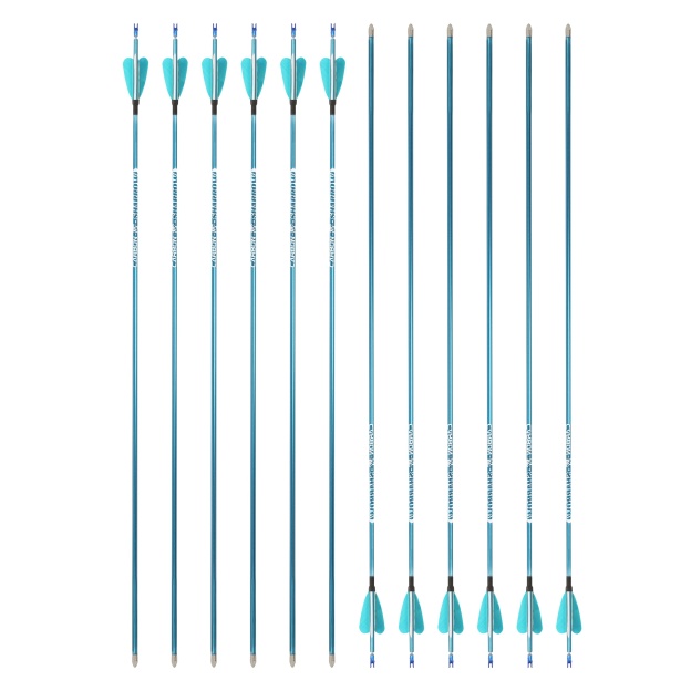 Target Arrows Pure Carbon 400-1000 Spine ±0.006" Turkey Feather 