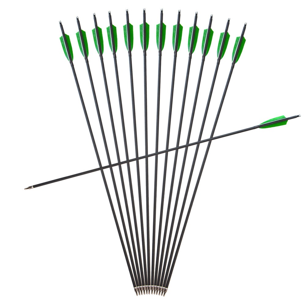 500 Spine Carbon Arrows 33" Turkey Feather 100gr Tips 12pcs