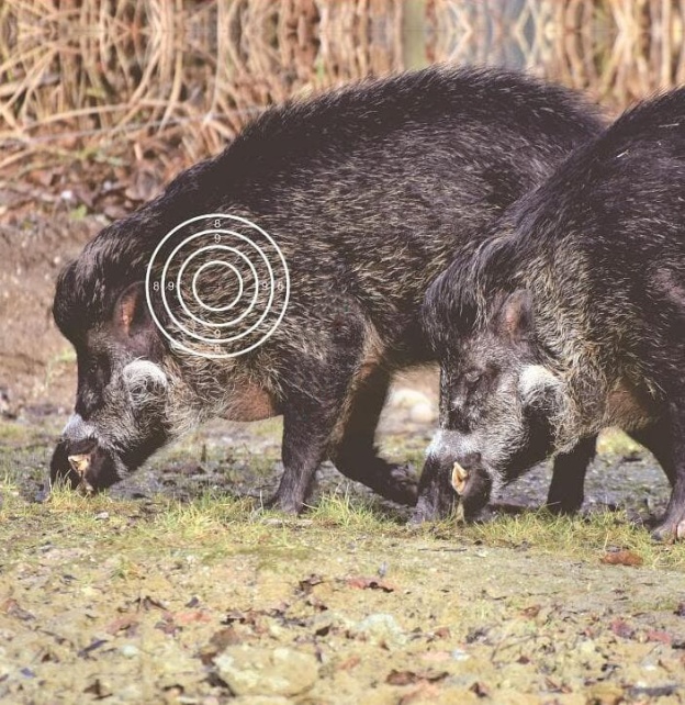 Paper Target Faces 40cm Archery Target Practice Animal Field Face